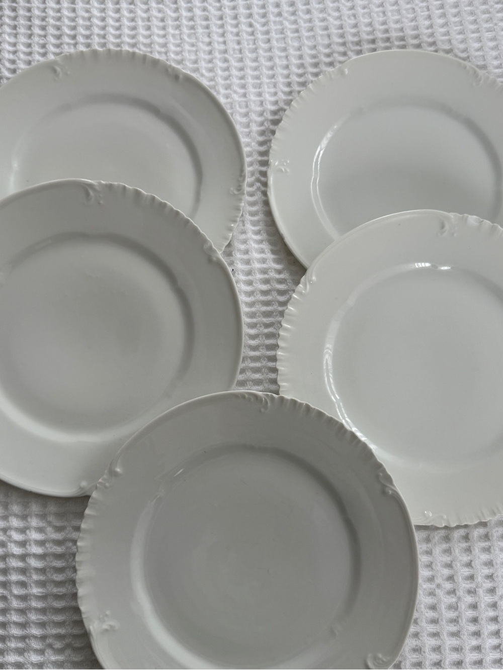 Limoges White Scalloped Porcelain Dinner Plates - Set of Five